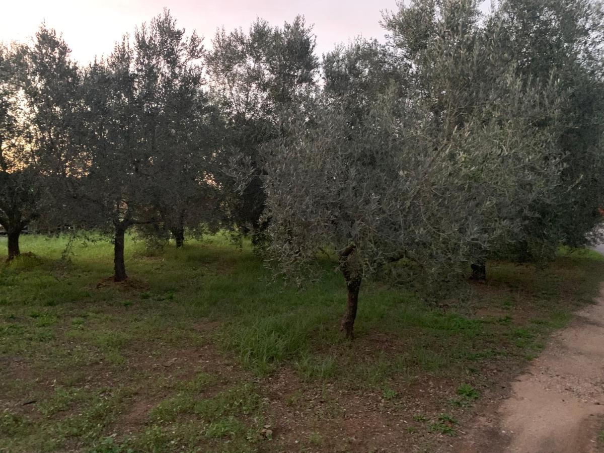 Camera Graziosa Албиния Экстерьер фото